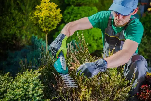 landscaping services Pinckney